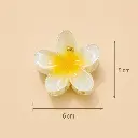 d3.webp