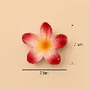 ce.webp