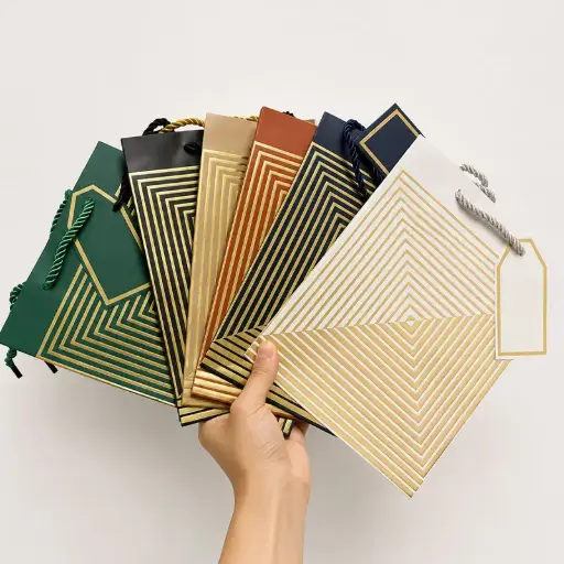 [GABSD3-2] Sac Cartonné Premium GABSD3-2